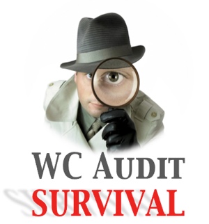 Workers Compensation Insurance Audit Survival Tips. Serving Philadelphia, Lancaster, Harrisburg, York, Reading, Allentown, Lehigh Valley, Pittsburgh, Erie, PA and beyond with the best workers compensation insurance protection for your business.