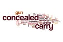 Contact us about commecial liability insurance and your concealed carry policy.