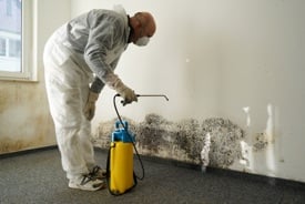 Contact us to add mold remediation coverage to your Contractor Insurance policy. Serving Reading, Philadelphia, Lancaster, Allentown, Lehigh Valley, Harrisburg, Pittsburgh, Erie, PA and beyond with reliable business insurance for over 25 years.